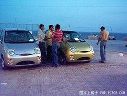 国产自在,探寻中国本土文化的独特魅力